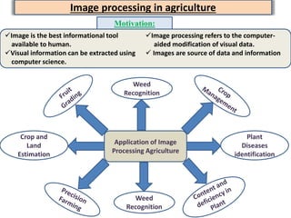 Image processing in agriculture
Motivation:
Image is the best informational tool
available to human.
Visual information can be extracted using
computer science.
Image processing refers to the computer-
aided modification of visual data.
 Images are source of data and information
Weed
Recognition
Plant
Diseases
identification
Application of Image
Processing Agriculture
Weed
Recognition
Crop and
Land
Estimation
 