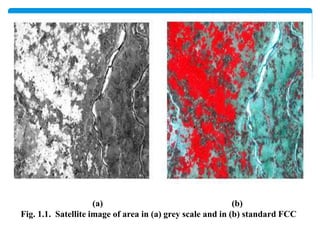 (a) (b)
Fig. 1.1. Satellite image of area in (a) grey scale and in (b) standard FCC
 