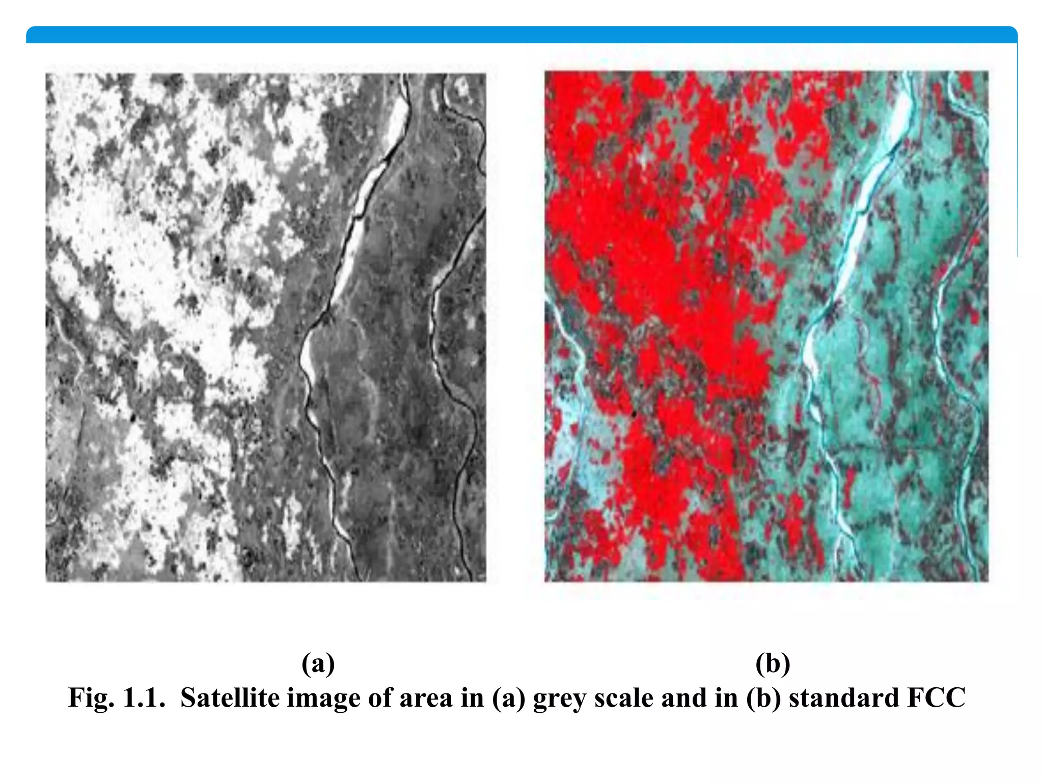 (a) (b)
Fig. 1.1. Satellite image of area in (a) grey scale and in (b) standard FCC
 