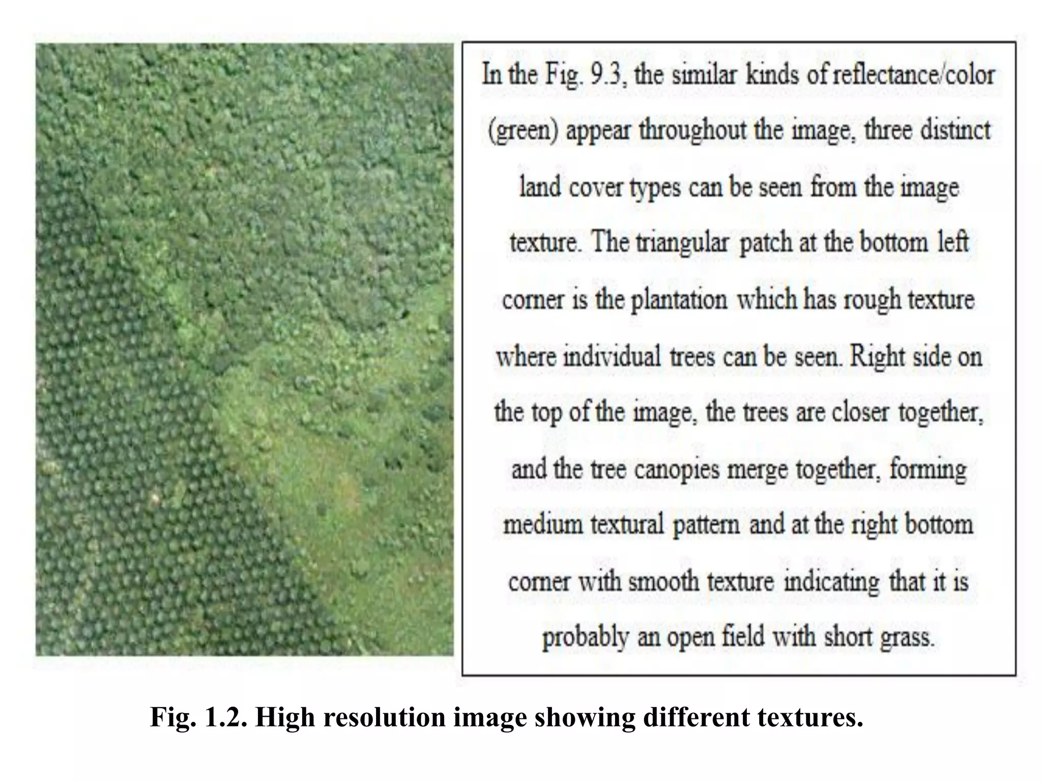 Fig. 1.2. High resolution image showing different textures.
 