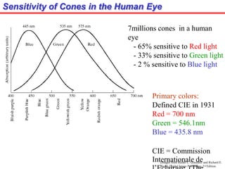 Sensitivity of Cones in the Human Eye
(Images from Rafael C. Gonzalez and Richard E.
Wood, Digital Image Processing, 2nd Edition.
7millions cones in a human
eye
- 65% sensitive to Red light
- 33% sensitive to Green light
- 2 % sensitive to Blue light
Primary colors:
Defined CIE in 1931
Red = 700 nm
Green = 546.1nm
Blue = 435.8 nm
CIE = Commission
Internationale de
 