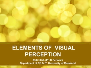 ELEMENTS OF VISUAL
PERCEPTION
Rafi Ullah (Ph.D Scholar)
Department of CS & IT University of Malakand
 