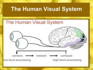 Image processing presentataion | PPT