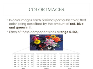 COLOR IMAGES

• In color images each pixel has particular color; that
  color being described by the amount of red, blue
  and green in it.
• Each of these components has a range 0-255.
 