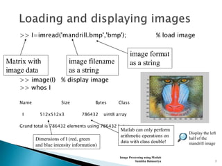Image processing using matlab | PPT