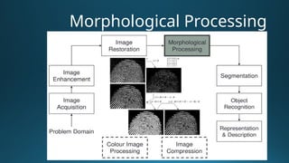 Image Processing and Computer Graphics.pptx