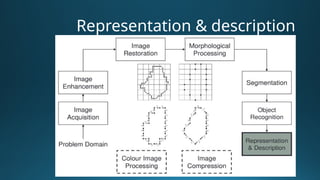 Image Processing vs Compter Graphics.pptx