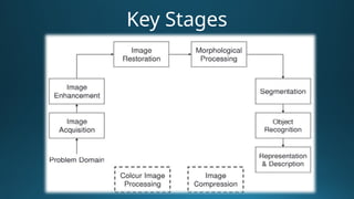Image Processing vs Compter Graphics.pptx