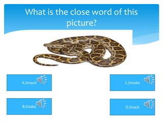 What is the close word of this
picture?
A.Smack C.Smoke
D.SnackB.Snake
 