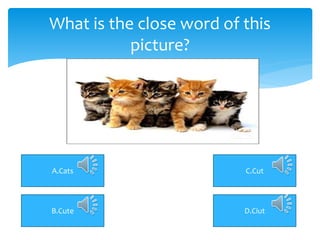 What is the close word of this
picture?
A.Cats
B.Cute
C.Cut
D.Ciut
 