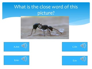 What is the close word of this
picture?
A.Ant C.On
D.InB.An
 
