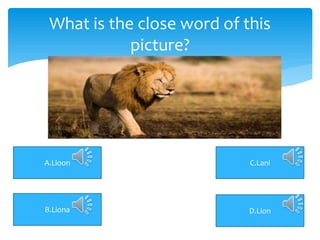 What is the close word of this
picture?
A.Lioon C.Lani
D.LionB.Liona
 