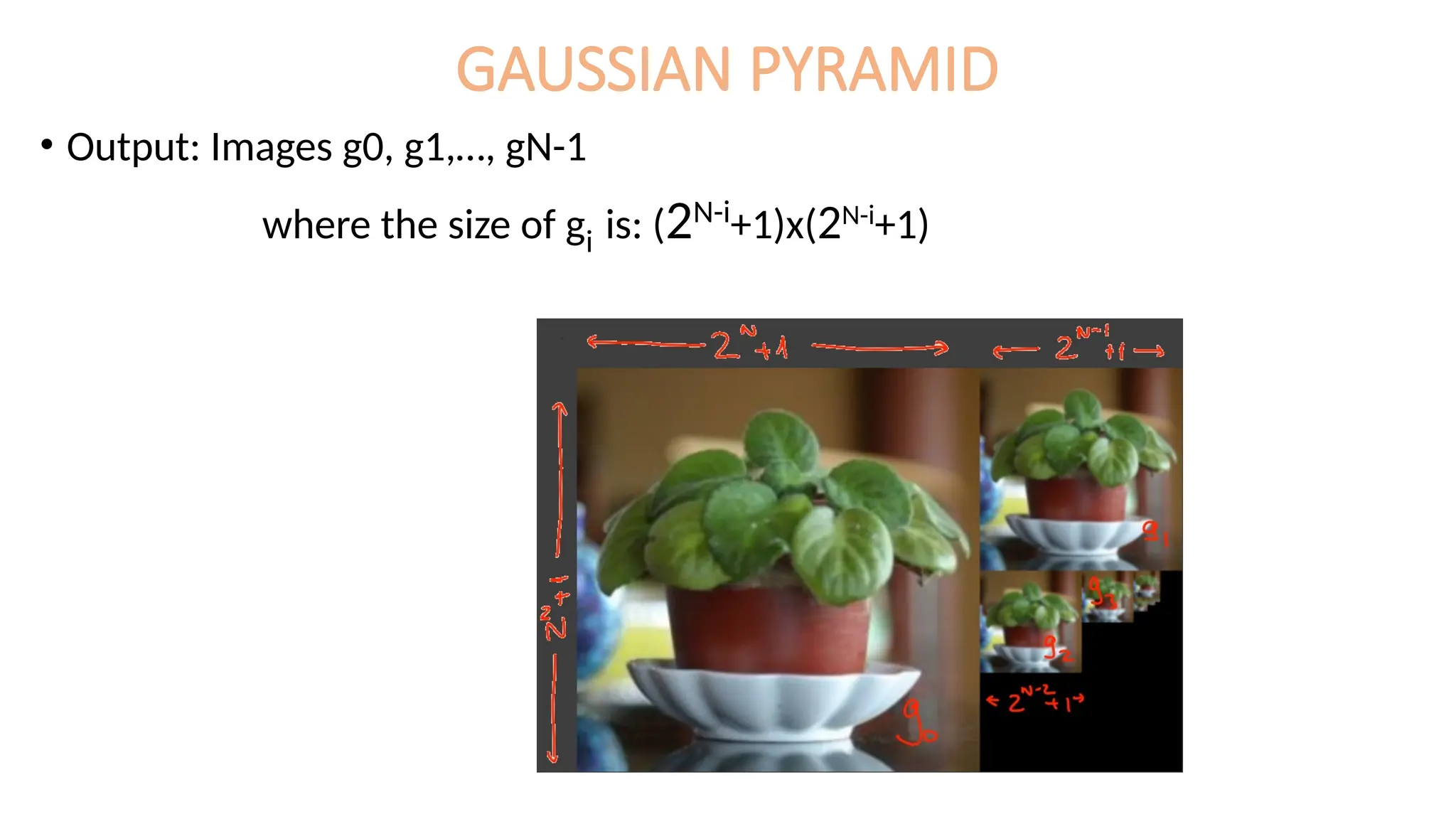 GAUSSIAN PYRAMID
• Output: Images g0, g1,…, gN-1
where the size of gi is: (2N-i
+1)x(2N-i
+1)
 