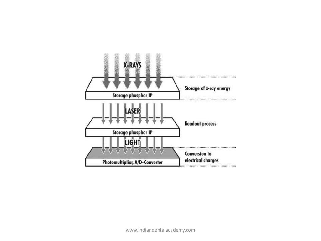 Image receptors/ dental crown & bridge courses