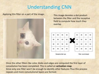 Understanding CNN
Applying this filter on a part of the image: This image denotes a dot product
between the filter and the receptive
field to compute how much they
overlap
Once the other filters like color, blobs and edges are computed the first layer of
convolution has been completed. This is called an activation map.
Since only one filter won’t be enough to identify other features Thus this process
repeats and more convolutional layers are formed.
 