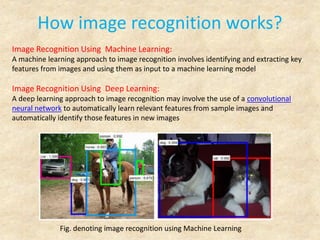 Image recognition | PDF | Artificial Intelligence | Technology & Computing