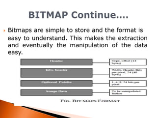 

Bitmaps are simple to store and the format is
easy to understand. This makes the extraction
and eventually the manipulation of the data
easy.

 