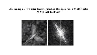 Image representation in computer vision and application | PDF