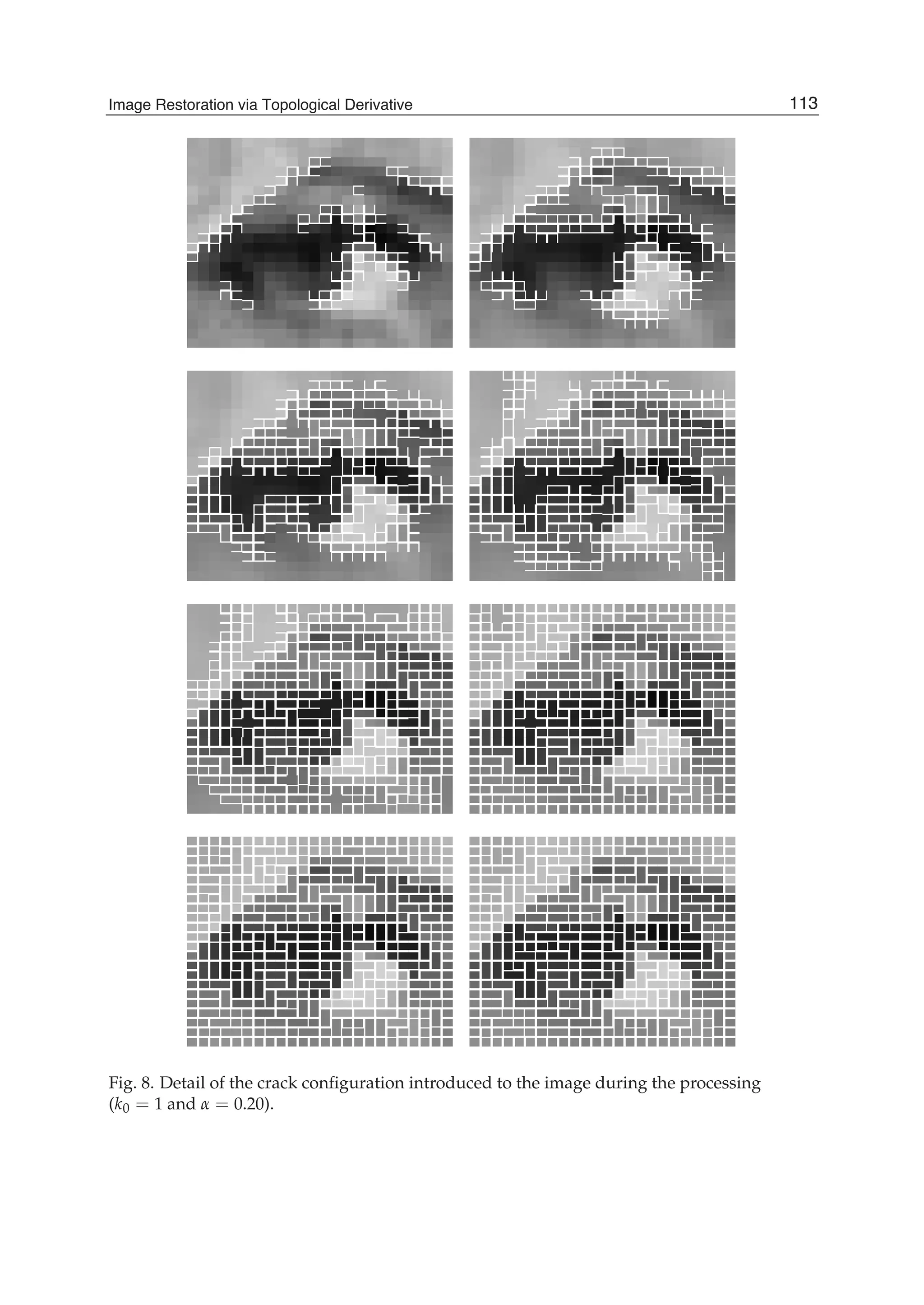 Image Restoration Via Topological Derivative 17
Fig. 8. Detail of the crack conﬁguration introduced to the image during the processing
(k0 = 1 and α = 0.20).
113Image Restoration via Topological Derivative
 
