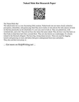 Naked Mole Rat Research Paper
The Naked Mole Rat
The naked mole rat is a very fascinating little creature. Naked mole rats are more closely related to
porcupines, chinchillas, and guinea pigs than they are to moles or rats and are the only species of mole
rat that has practically no fur (Zielinski). It s not very cute to look at. They are pinkish tan, with
wrinkled skin, and a tail. They do not have fur, hence the name naked. They do have very fine hairs on
their body to help them feel what s around them. They are also known as a sand puppy. It s closely
related to the blesmols (Hagan). The have big, strong sharp incisors. These are used for digging
tunnels and gnawing on roots and tubers that grow underground from trees and plants.
They also eat their own poop, to
... Get more on HelpWriting.net ...
 