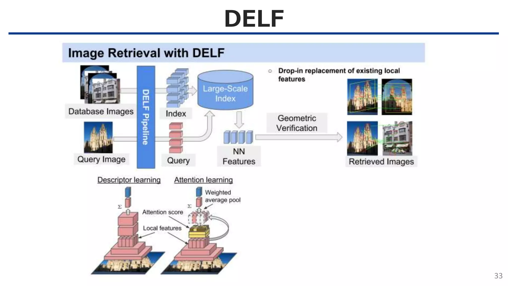 DELF
33
 