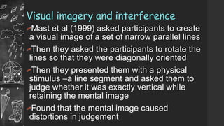 Narrow Imagegery Imagery and Cognitive Maps.pptx