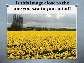 Is this image close to the
one you saw in your mind?
 