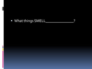 What things SMELL_______________?