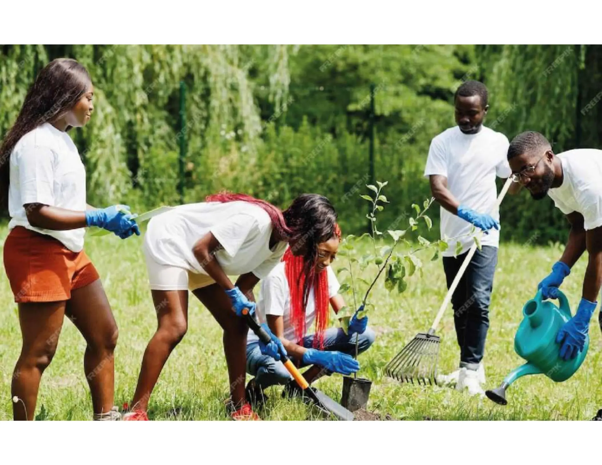 Rehabilitation centres in zimbabwe | 📲 +263788080001 | PPT