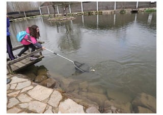 Excursión Aula del Rio