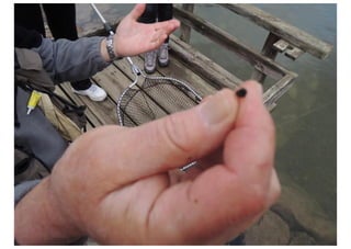 Excursión Aula del Rio