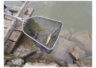 Excursión Aula del Rio