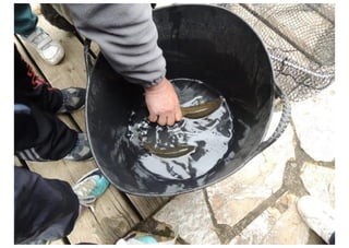 Excursión Aula del Rio