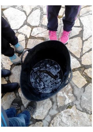 Excursión Aula del Rio