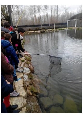 Excursión Aula del Rio