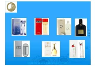 TREINAMENTO DE PERFUMES  AKMOS