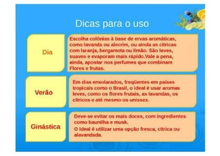 TREINAMENTO DE PERFUMES  AKMOS