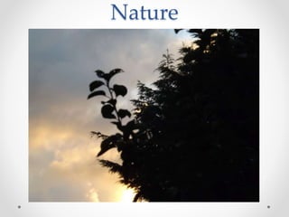 Nature
 