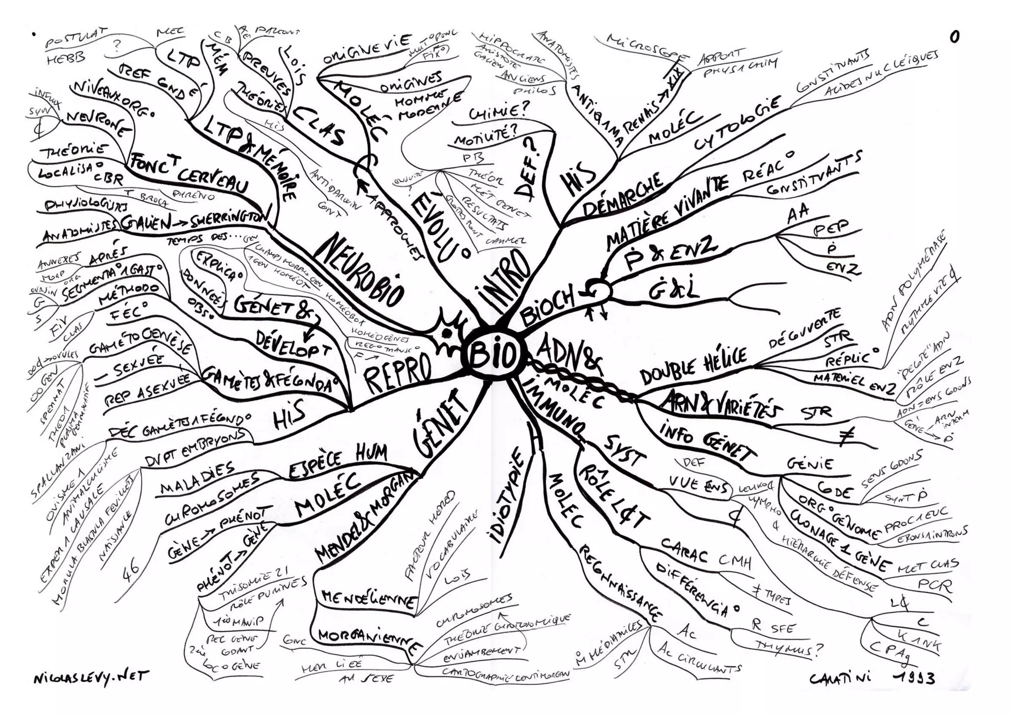 Hand Drawn Examples Of My Mind - Hand Drawn Examples Of My Mind Maps 2 2048 