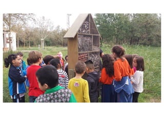 Primer de Primària. Sortida als aiguamolls.