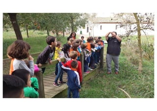 Primer de Primària. Sortida als aiguamolls.