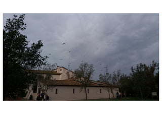 Primer de Primària. Sortida als aiguamolls.