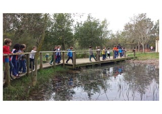 Primer de Primària. Sortida als aiguamolls.