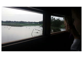 Primer de Primària. Sortida als aiguamolls.