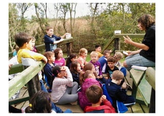 Primer de Primària. Sortida als aiguamolls.