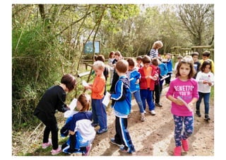 Primer de Primària. Sortida als aiguamolls.