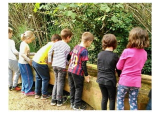 Primer de Primària. Sortida als aiguamolls.