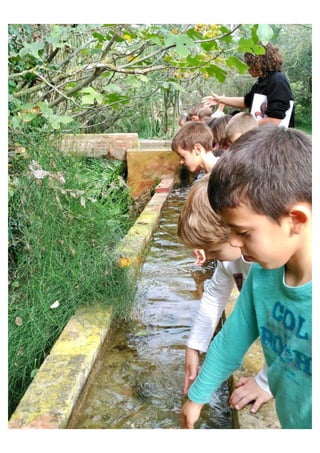Primer de Primària. Sortida als aiguamolls.