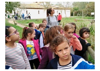 Primer de Primària. Sortida als aiguamolls.