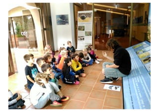 Primer de Primària. Sortida als aiguamolls.